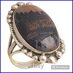 COLOSSAL NAVAJO'NATURAL SCENERY NATIVE AMERICAN JEWELRY SILVER WOOD Ringsz6.75